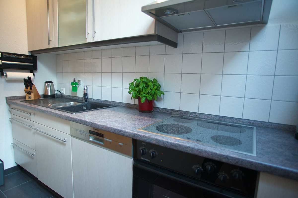 Blick in die komplett ausgestattete Küche Neumann Apartment Marbach am Neckar